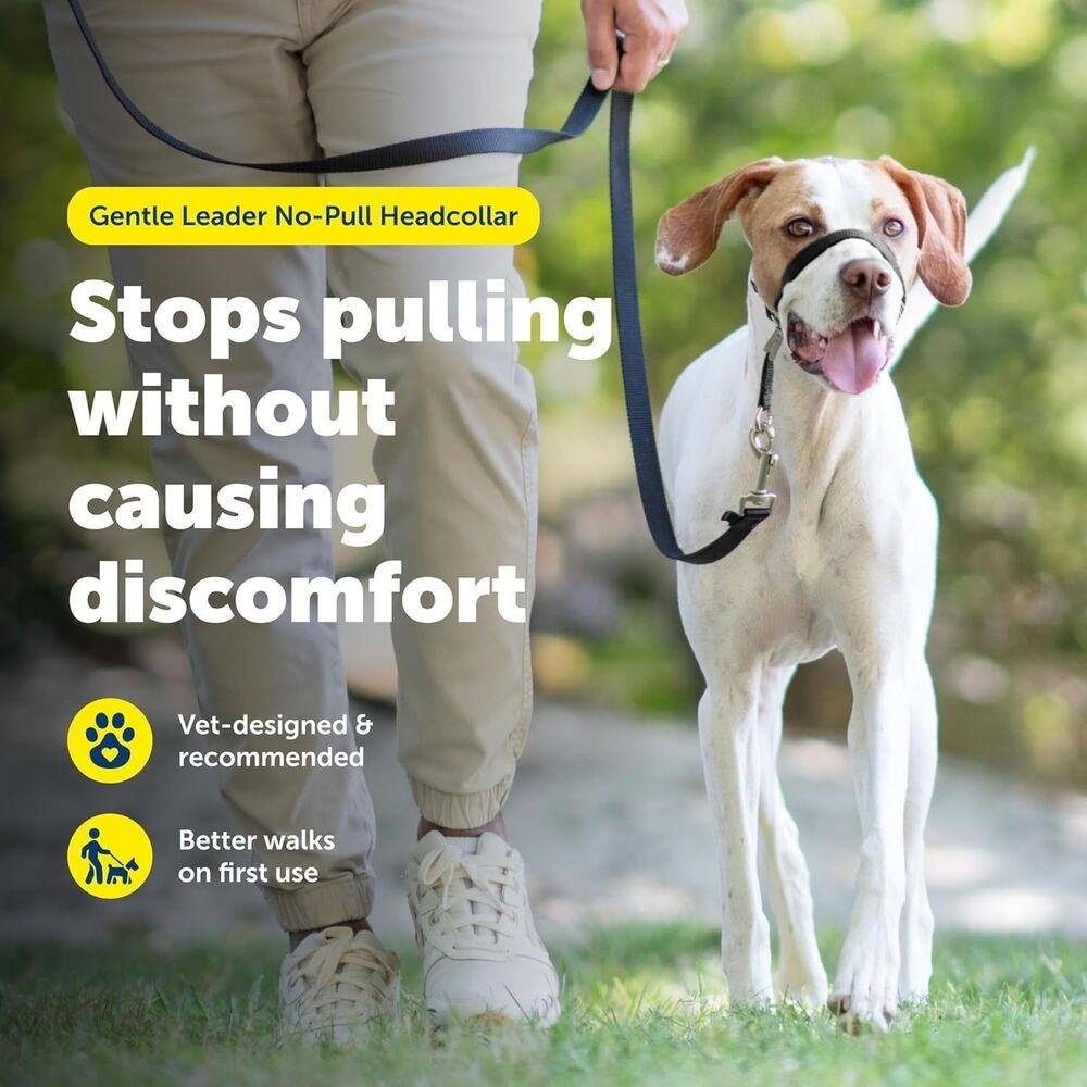 New☆ PetSafe Gentle Leader No-Pull Dog Headcollar Large 60-130lbs Black Training - Picture 10 of 12